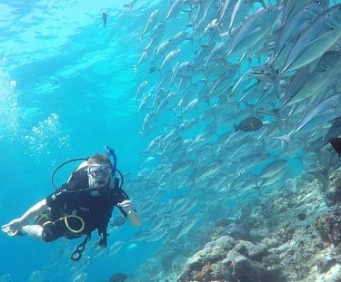 Sipadan, Mabul & Kapalai ocean wonders