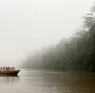 Wildlife river cruise on the Kinabatangan River