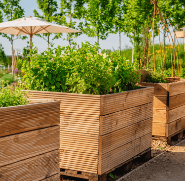 potager d'entreprise offrant un espace ressourçant au travail et agissant dans le cadre de la RSE