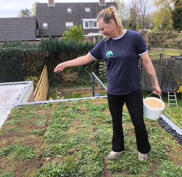 Voeding voor de start