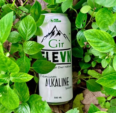 a can of ginevil in a can of gin