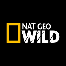 Cool Film Production Bangkok - Net Geo Wild