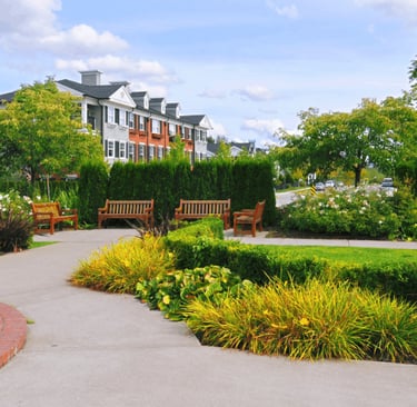 landscaping services in Hyderabad