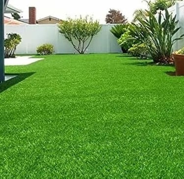 Korean lawn grass in Rajahmundry