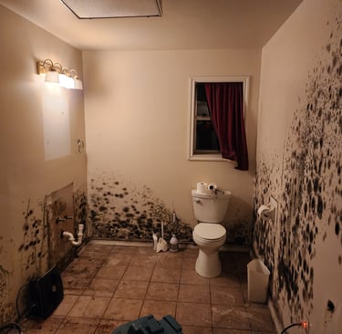 Mold Dangers After Water Damage