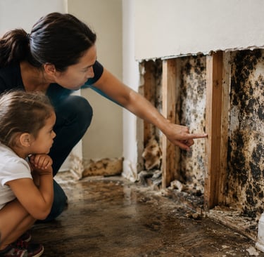 Hidden mold growth inside a water-damaged wall