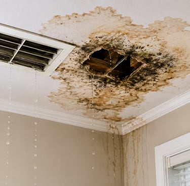 Leaking air conditioner causing water damage, ceiling stains, and visible mold growth inside a resid