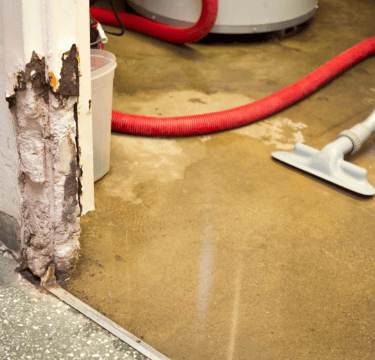 Top Flood Clean Up Services for Businesses in Round Rock & Central Texas