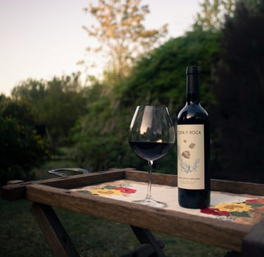 imagem de uma taça com uma garrafa de malbec vinho de mendoza