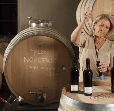 susana balbo, barrica vinho nosotros