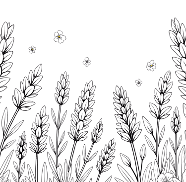 Lavender alveystarr.com