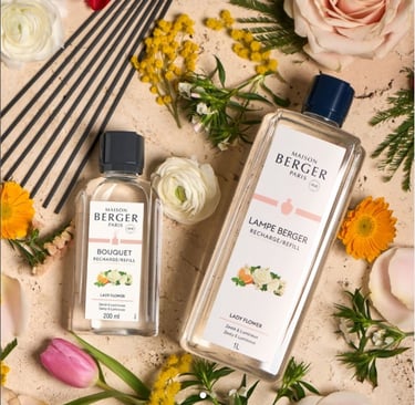 recarga lamparas cataliticas Maison Berger Castellon