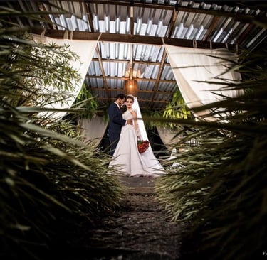 Pasión bajo la luz de la eternidad.