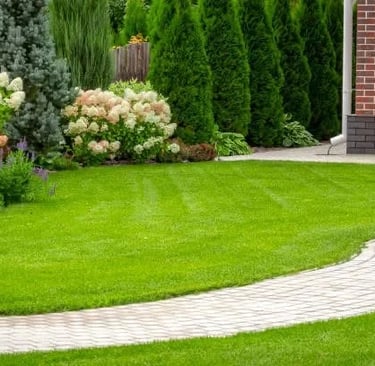 Happy homeowner with artificial grass garden Reading