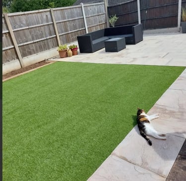 Artificial grass Berkshire garden with cat relaxing on low maintenance lawn installation