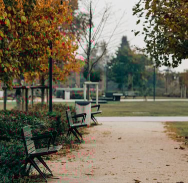 Slow living journal scene of a park path during seasonal transition