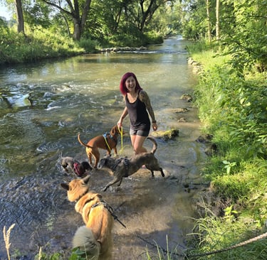 Dogz' Erding glückliche Hunde