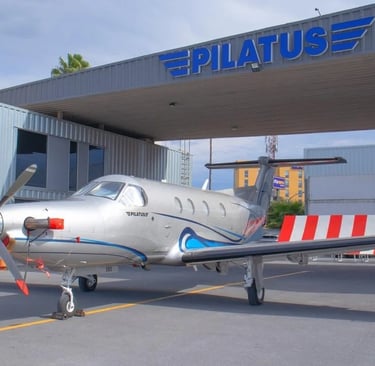 2004 PILATUS PC-12/45 en venta en Mexico