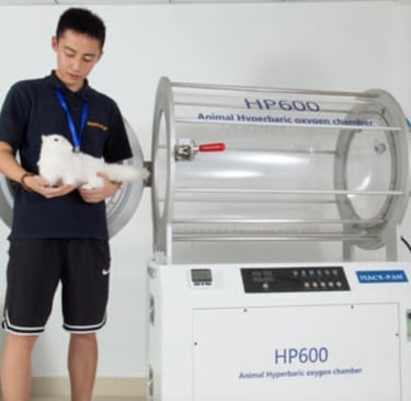 Oxigenoterapia en cámara hiperbárica veterinaria