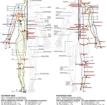 a diagram of a human body and meridian 經絡圖
