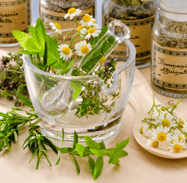Photo of botanicals