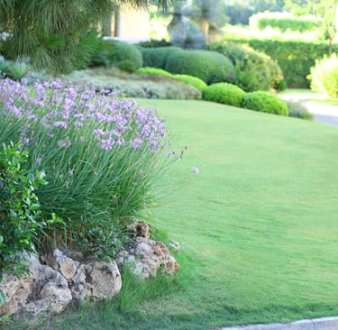 Power washing your home could seem like an extravagance if you’re not aware of the benefits, but in reality