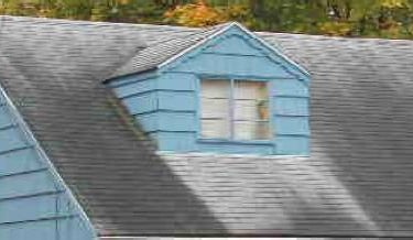 A brief overview of identifying the Algae, Moss, Lichen and Fungus Growth that may be growing on your roof