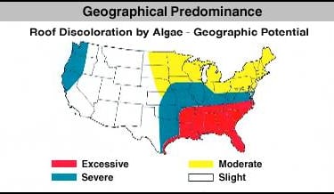 A brief overview of identifying the Algae, Moss, Lichen and Fungus Growth that may be growing on your roof