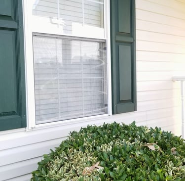 House wash in Russellville, Tn 37860 near me by Bobs Pressure Washing LLC in Bulls Gap, Tn 37711 26a