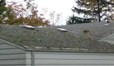 A brief overview of identifying the Algae, Moss, Lichen and Fungus Growth that may be growing on your roof