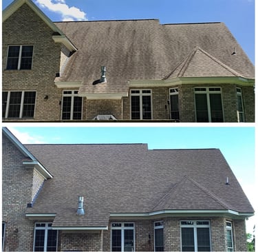 Before and after cleaning of an asphalt shingle roof