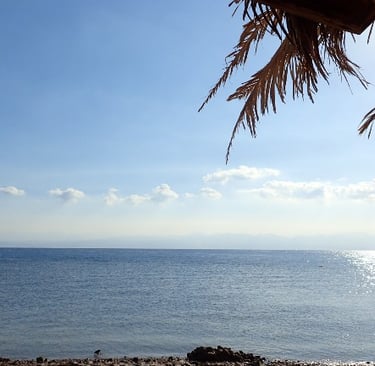 Sea view through palm leaves at Bedouin Star beach camp in Nuweiba, Ras Shitan.