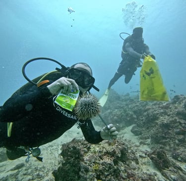 Scuba Diver Regie picking up trash and collecting crown of thorns out of the waters of Shangrila