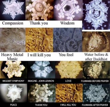 Exemples de photographie de Masaru Emoto
