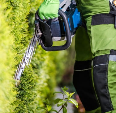 a man in a green jacket and a green jacket