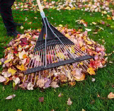 a raket with a raket and a raket on the ground