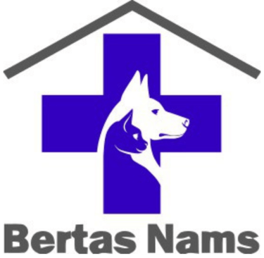 Bertas Nams logo