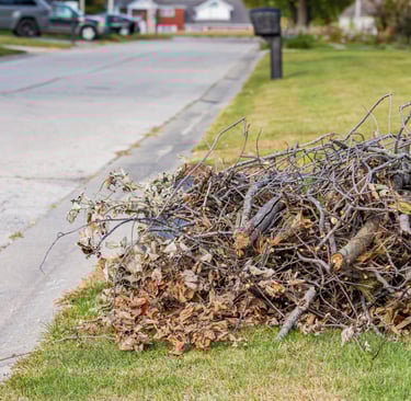pic of tree trimmings