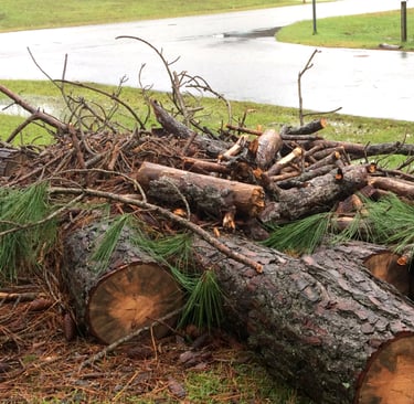 tree branches laying in yard