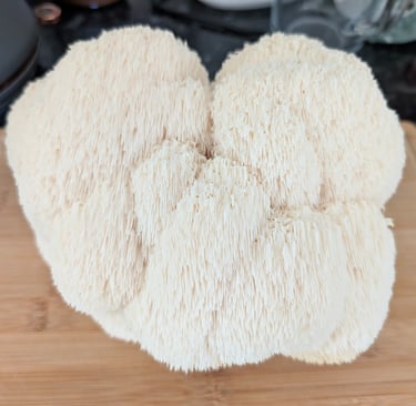 Fresh raw lion's mane mushroom with white shaggy spines on a wooden cutting board.