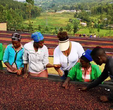 a group of people standing around a table with coffee beans