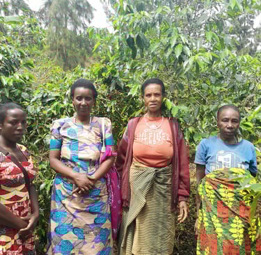a group of women farmers standing in front of a coffee tress