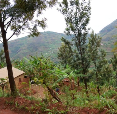 a house with a mountain view of a house in the background Rural Rwanda