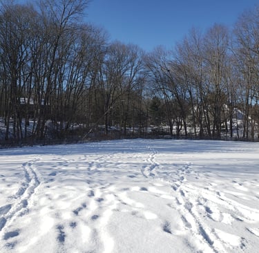 CT- snow- neve-description Italian -Pascoli-Poetry-poesia