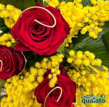 mimosa-women-day-festa-donna