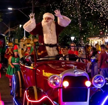 Natal Holambra