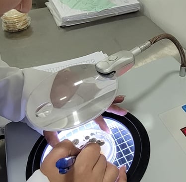 Profissionais do Laboratório AMB realizando análises laboratoriais em ambiente técnico equipado