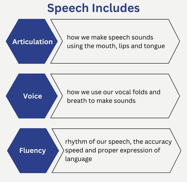 what is speech therapy