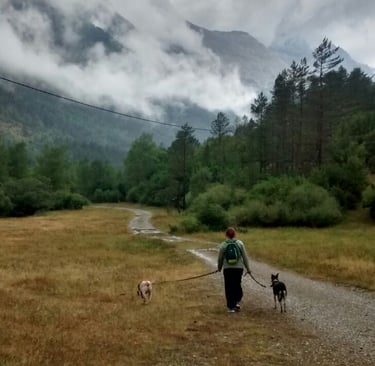 Paseo en la naturaleza con mis perros
