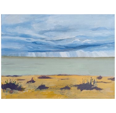 Meereslandschaft mit bläulichen Regenwolken und Strandpflanzen mit grünem Meer und gelbem Ocke